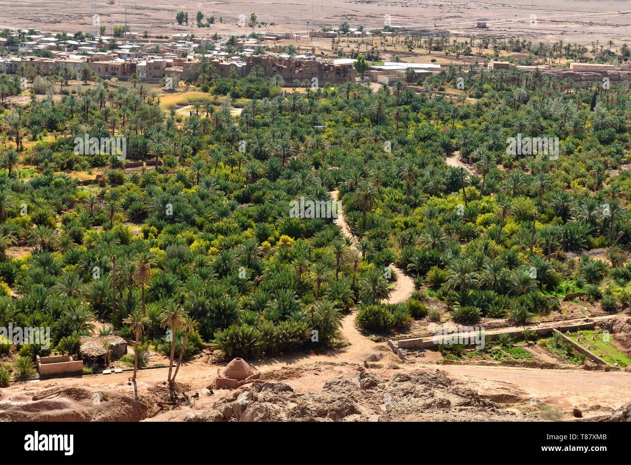 Iran, Garmeh oasis, on the Dasht-e Kavir deserts near the Khur city. Stock Photo