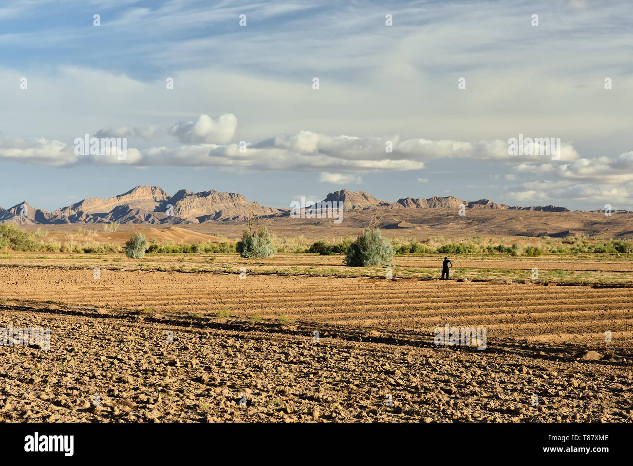 Iran, Mesr oasis on the Dasht-e Kavir desert near Khur city. Stock Photo