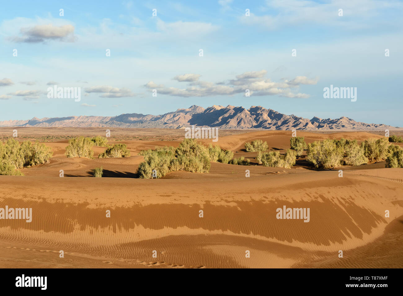 Orange sand dunes on the Dasht-e Kavir desert near Mesr oasis and Khur city, Iran Stock Photo