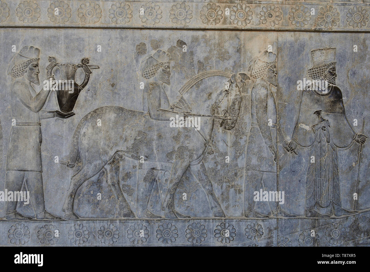 The beautiful reliefs in the ruins of Ancient Persepolis Complex of Near Eastern civilisation with persian architecture, Pars - Iran. Stock Photo