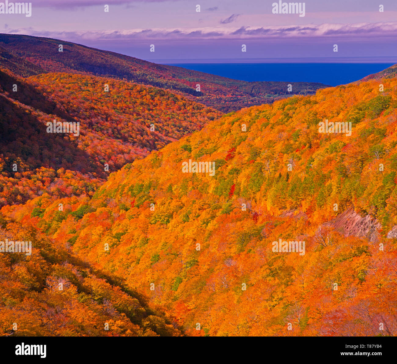 Fall at the Cabot Trail in Cape Breton Highlands National Park on Cape Breton in northern Nova Scotia, Canada. Highlands National Park Stock Photo