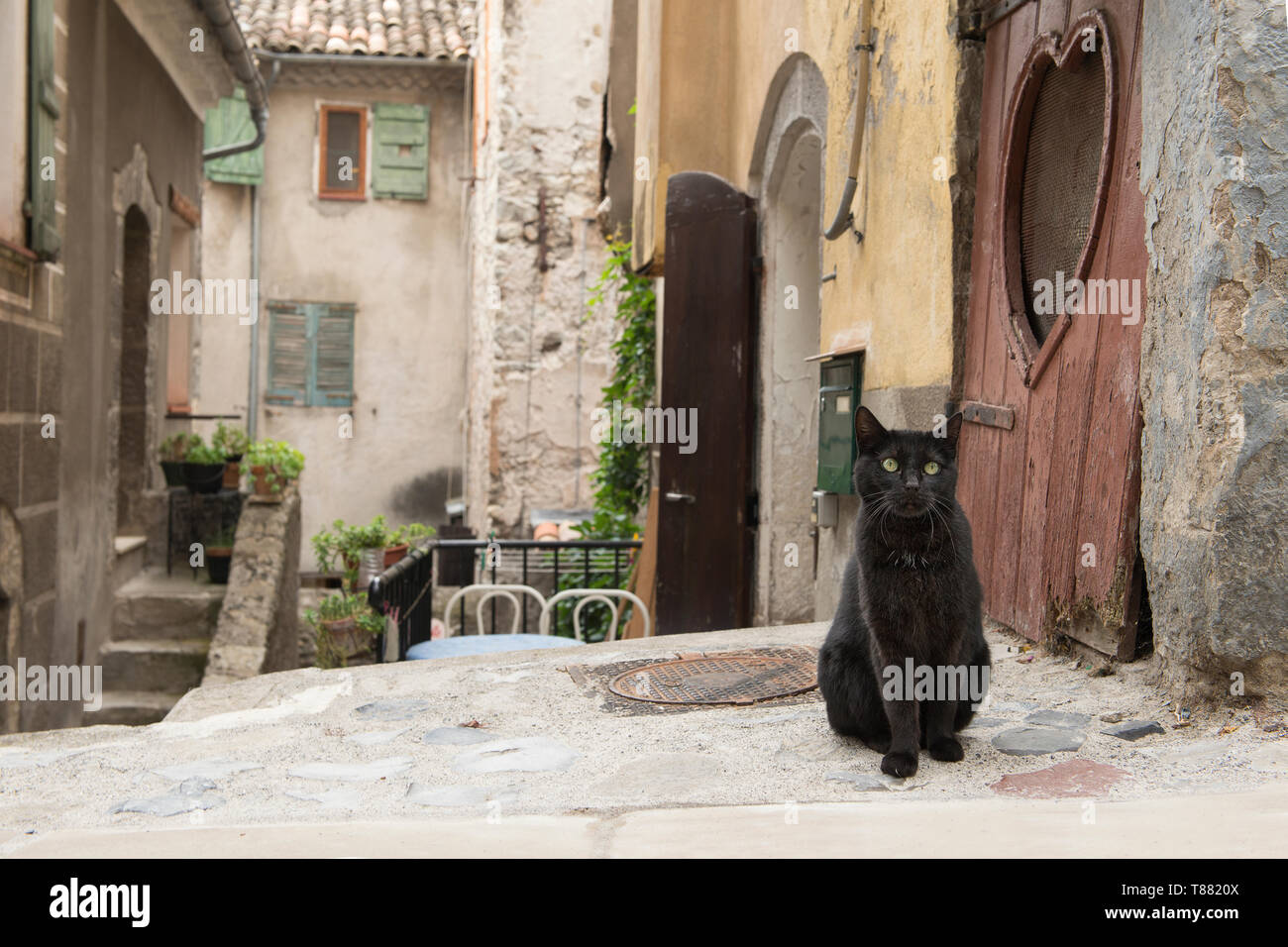 Black street cat in an old town in the provance of France Stock Photo