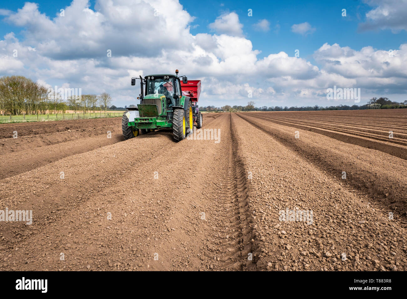 Mechanised planting of seed potatoes using a dewulf 3 row belt planter