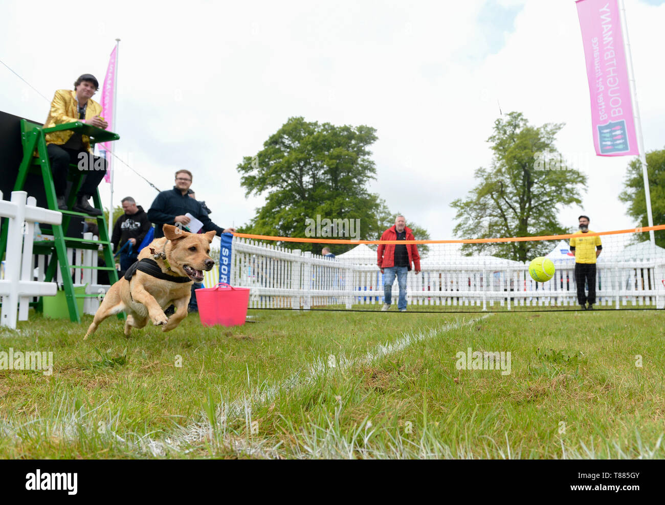 EDITORIAL USE ONLY Jeff Wilson and his dog Logan, three, enjoy the first day of DogFest 2019 at Knebworth House in Hertfordshire. Stock Photo