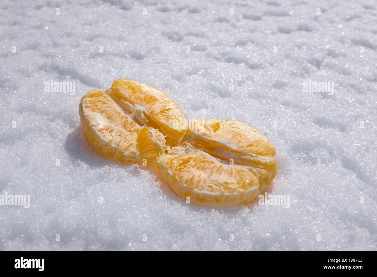 Close-up of pieces of orange without peels in white snow and with sun light Stock Photo