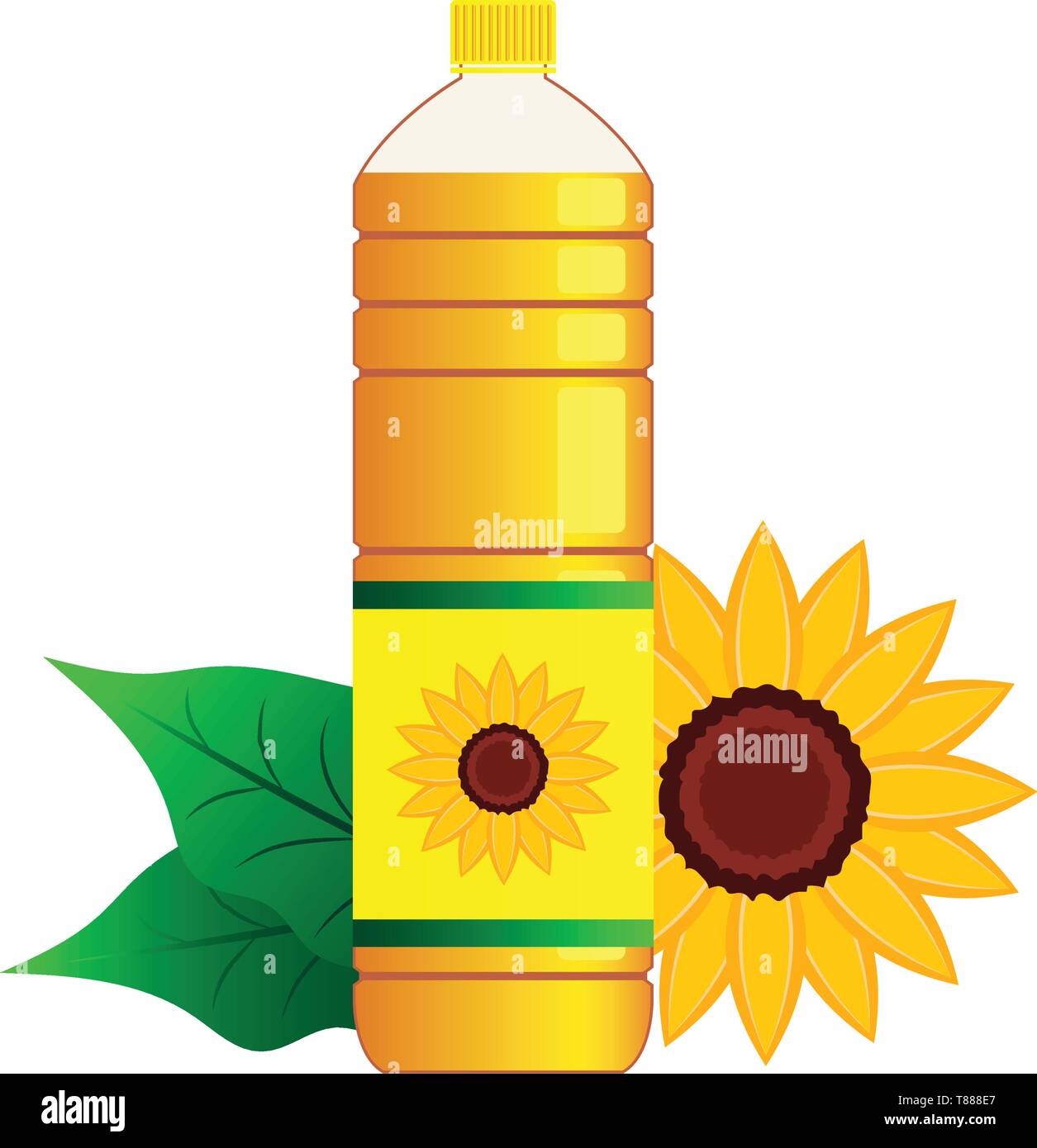 Sunflower Vector Vectors High Resolution Stock Photography and Images