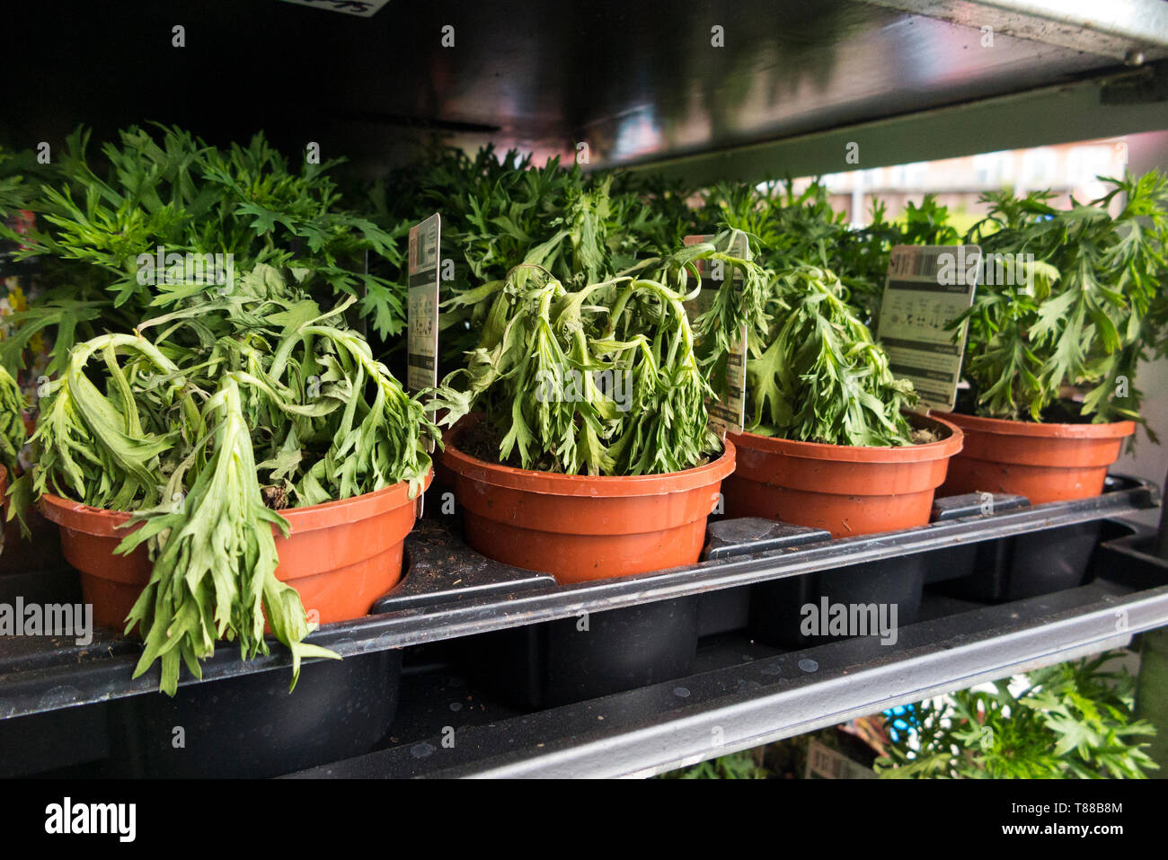 Bedding Store High Resolution Stock Photography and Images Alamy