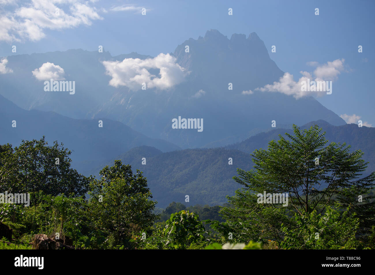 Mount Kinabalu, the highest mountain in South East Asia seen from Melangkap, Sabah Malaysia Stock Photo