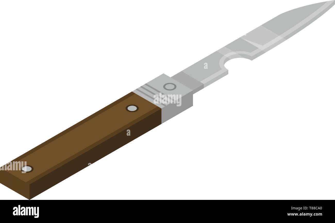 Kitchen penknife icon, isometric style Stock Vector