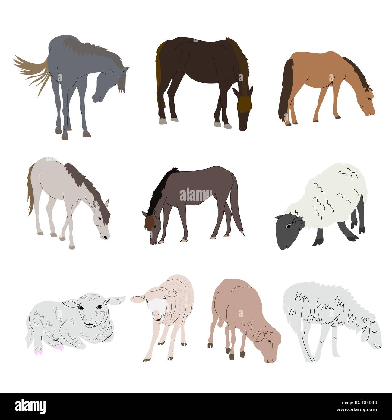 DRawing set of horse and sheep isolated on white background. vector illustration. Stock Vector