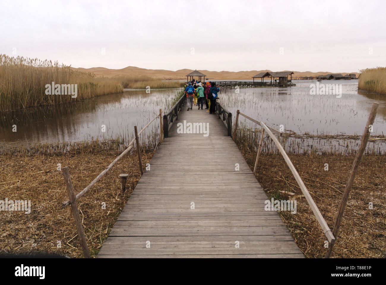 Landing stage at oasis in Tengger desert, Inner Mongolia, China Stock Photo