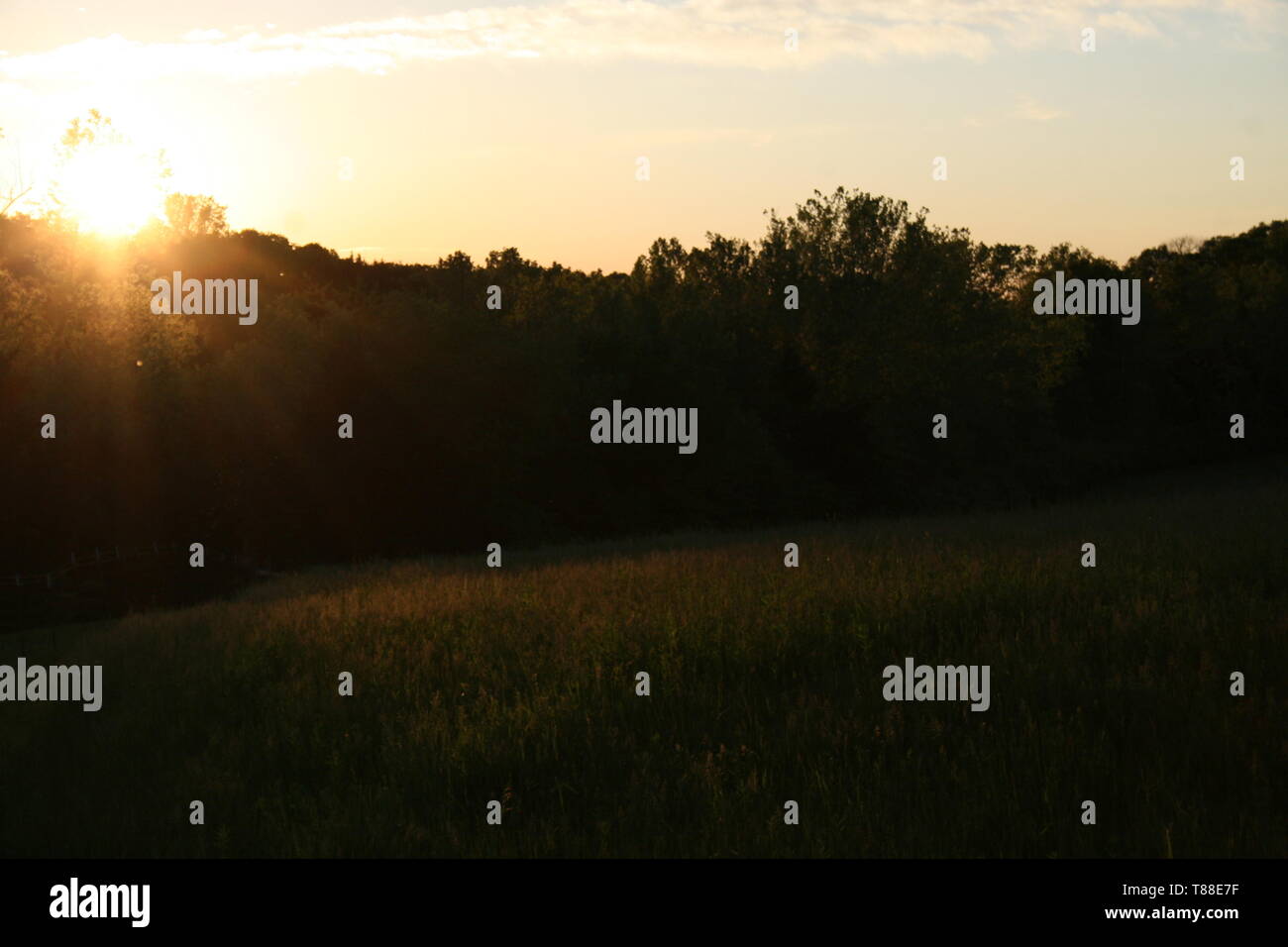 Golden Rays of light Stock Photo - Alamy