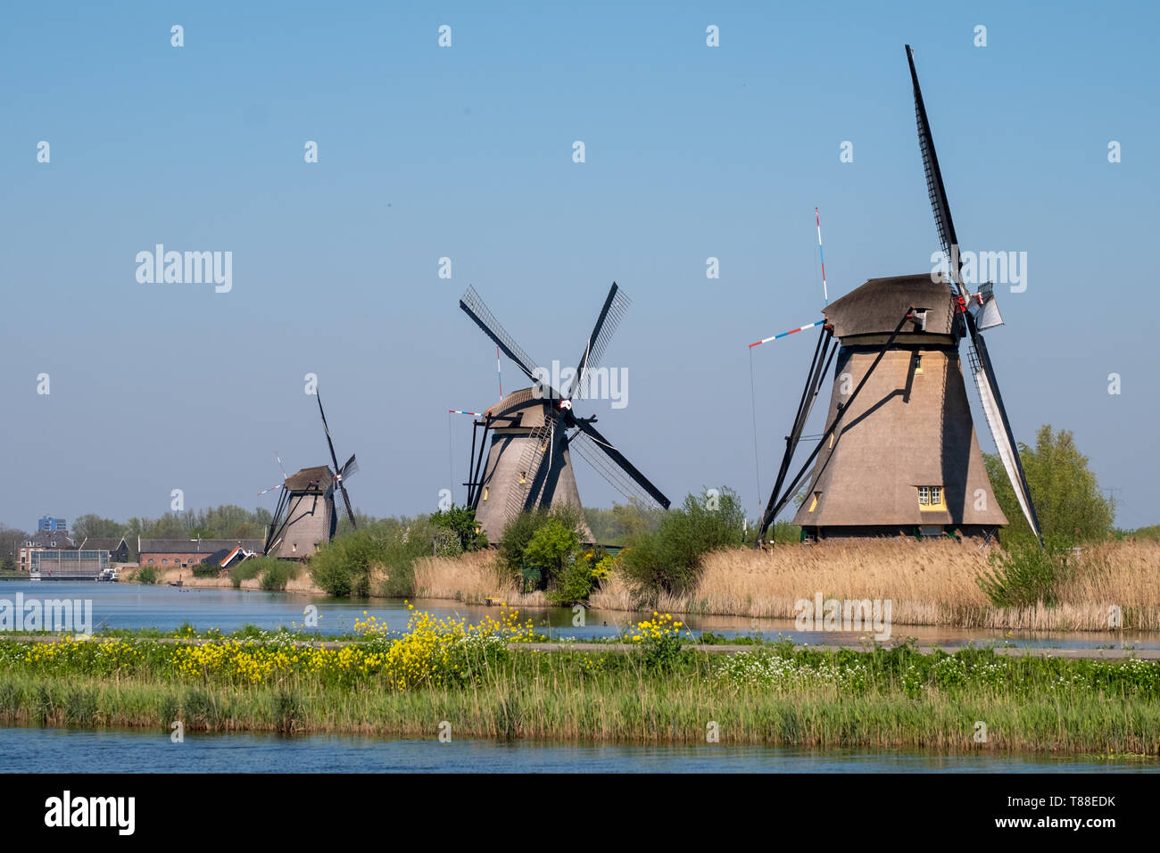 Row Of Iconic Historic Windmills By The Water At Kinderdijk Holland Netherlands A Unesco World Heritage Site Stock Photo Alamy