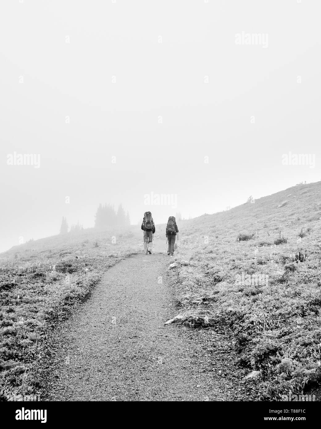 At 7500 feet a misty path leads two walkers through into the mountains & beyond at Sunshine Meadows. Stock Photo