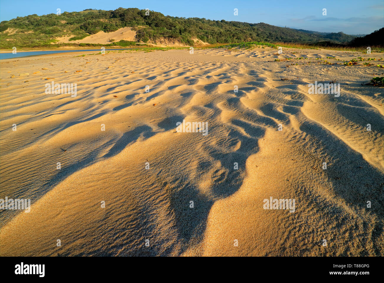 Scenic beach early morning with wind-blown patterns in the sand, South Africa Stock Photo
