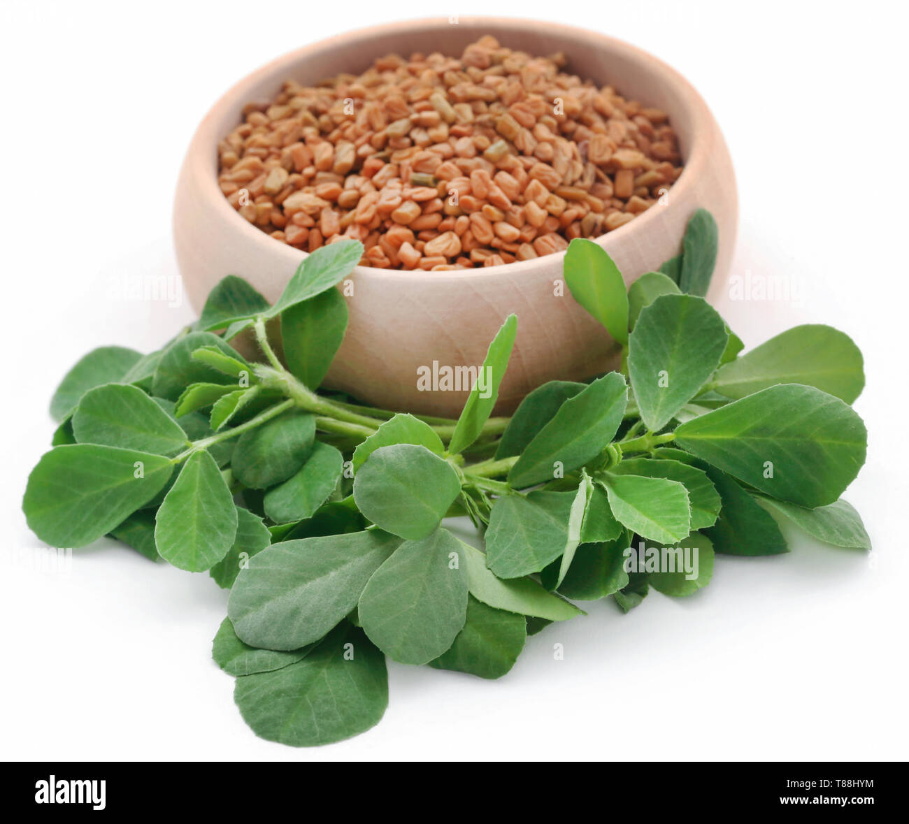 Fenugreek seeds with green leaves over white Stock Photo