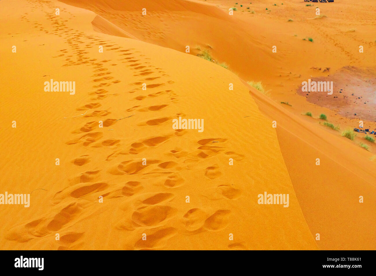 Climbing sand dunes, footprints in the sand, sunrise, Sahara Desert