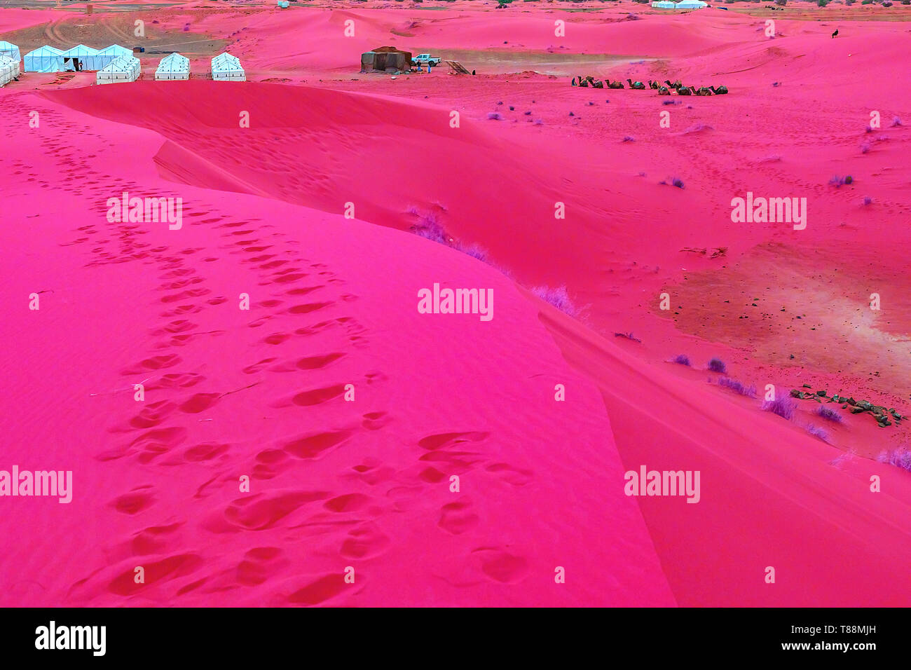 Beautiful sand dunes in the Sahara desert. Morocco Stock Photo - Alamy