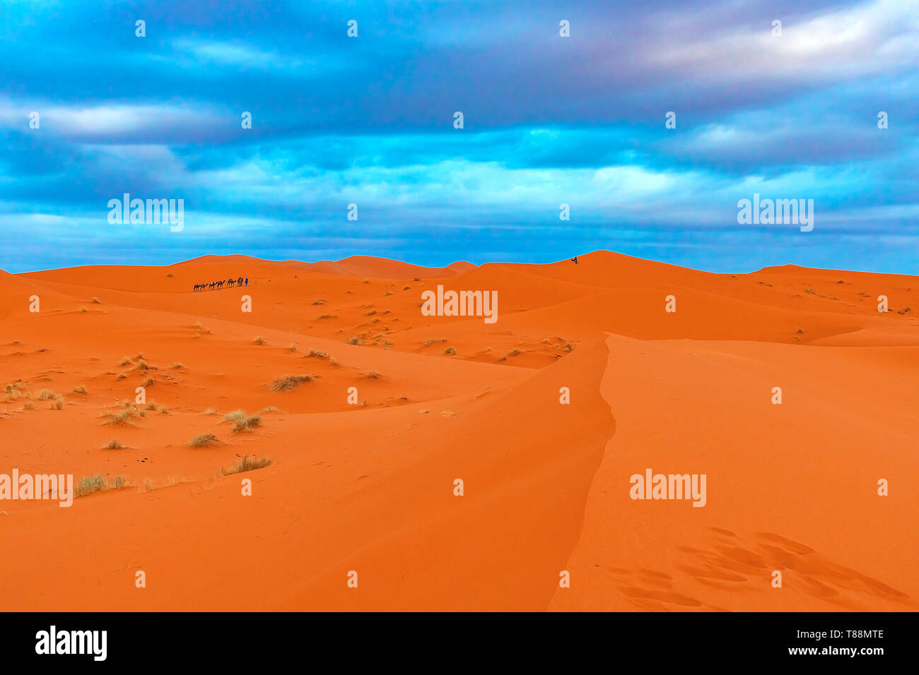 Beautiful sand dunes in the Sahara desert. Morocco Stock Photo - Alamy