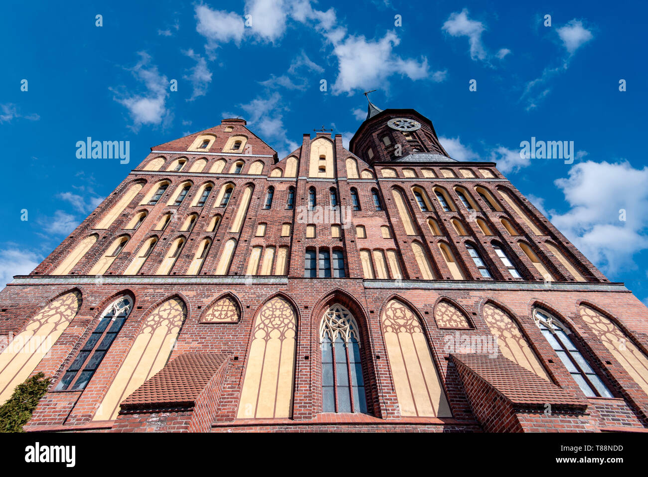 Cathedral or Konigsberg Cathedral in Kaliningrad on Kant Island in Russia Stock Photo