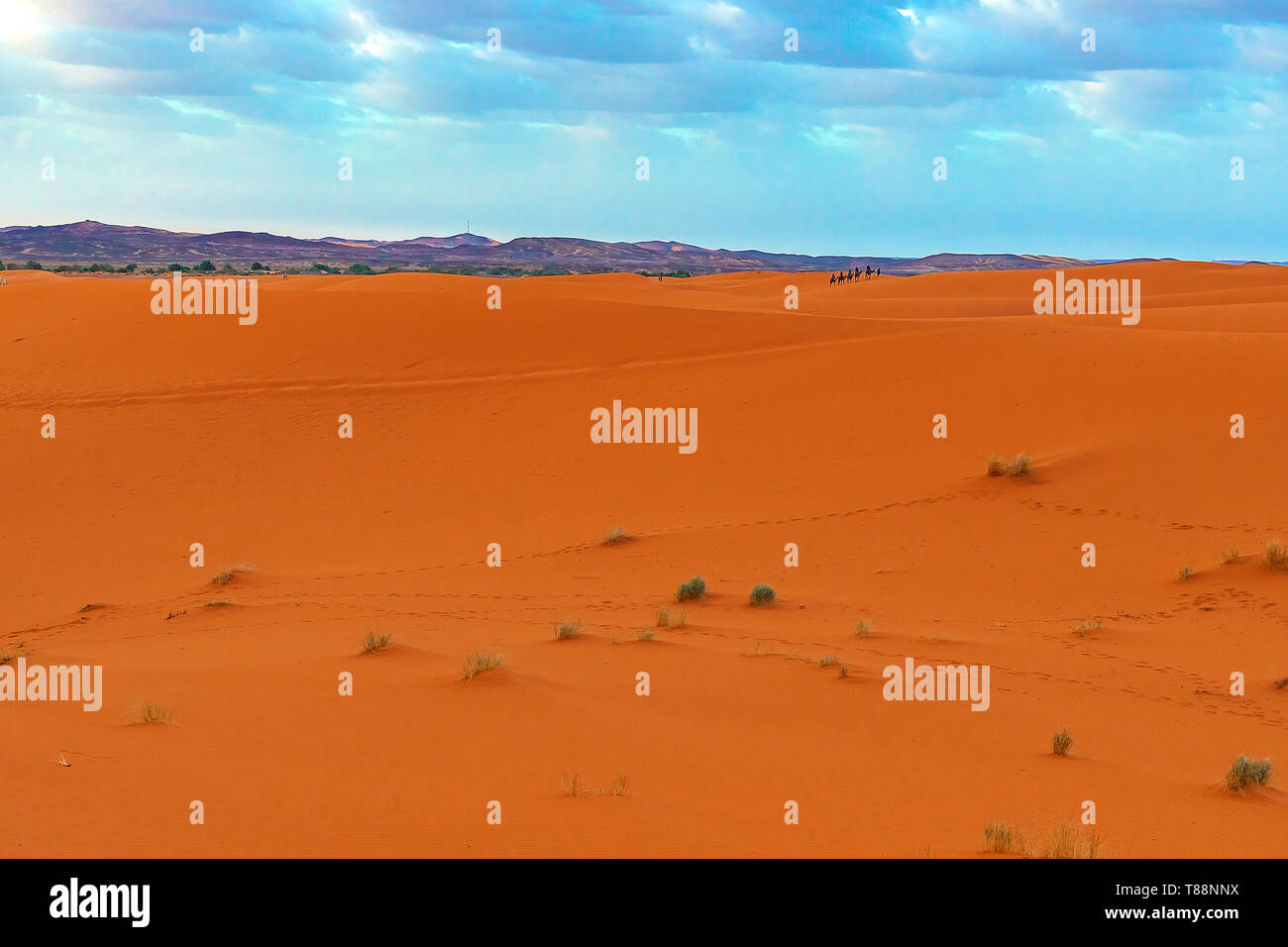 Beautiful sand dunes in the Sahara desert. Morocco Stock Photo - Alamy