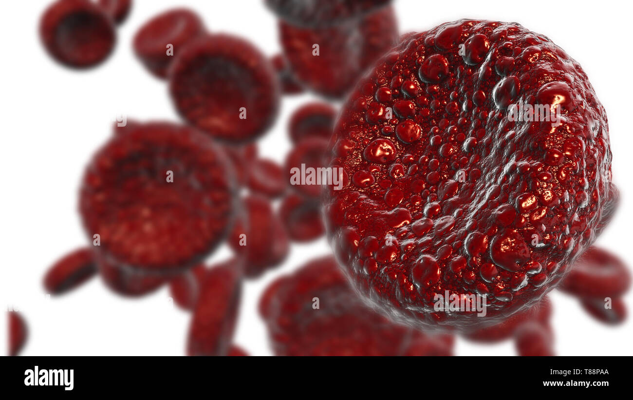 Red blood cells Use as a medical illustration is a 3d image and the ...