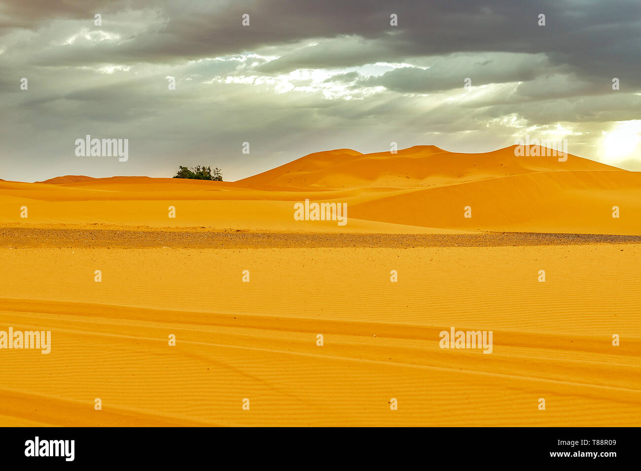 Beautiful sand dunes in the Sahara desert. Morocco Stock Photo - Alamy