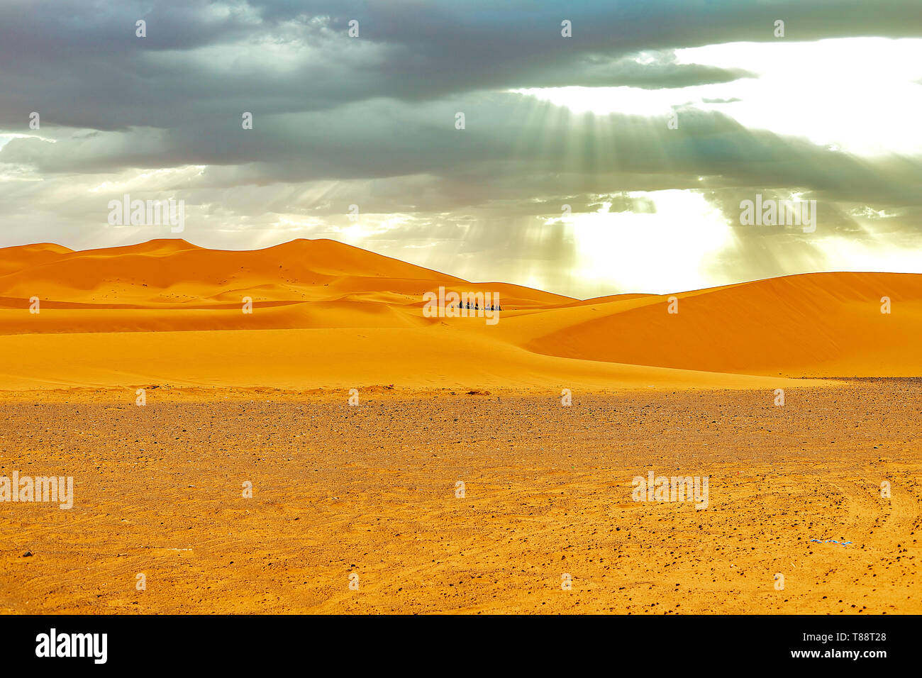 Beautiful sand dunes in the Sahara desert. Morocco Stock Photo - Alamy