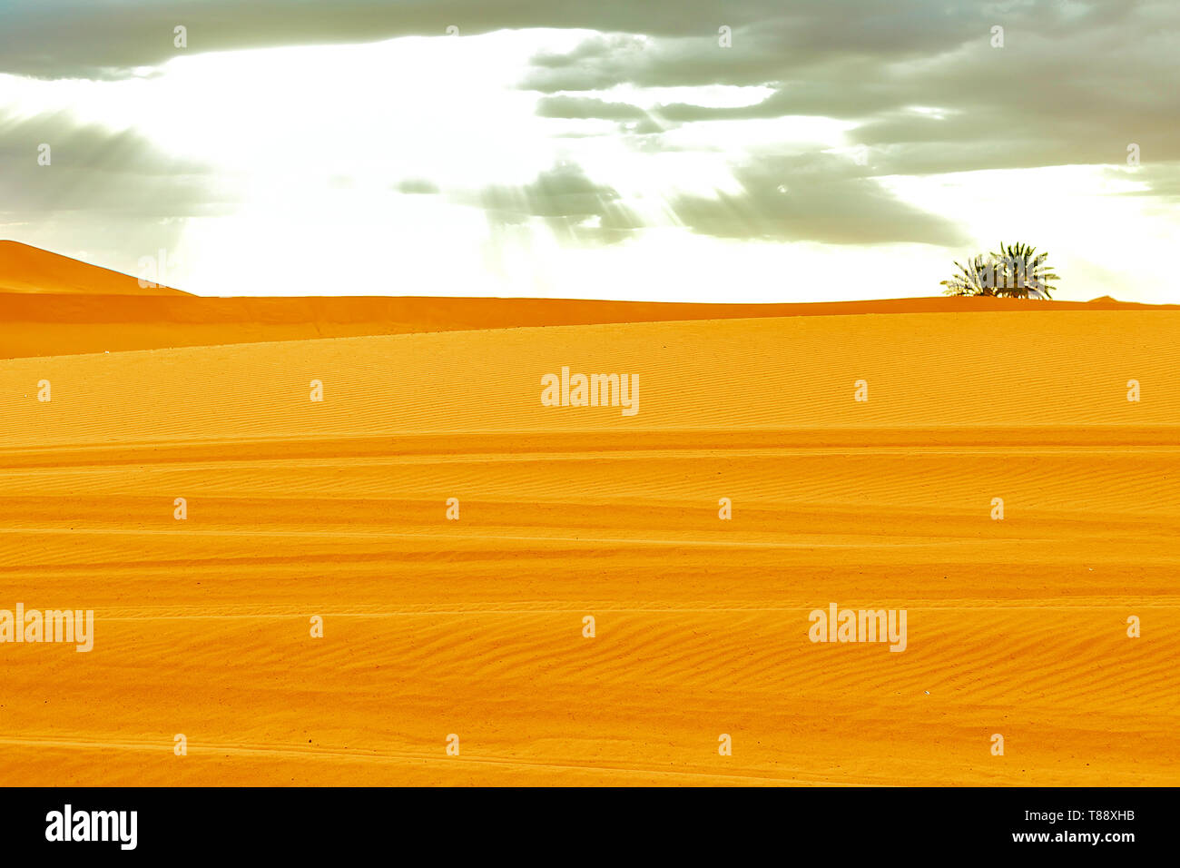 Beautiful sand dunes in the Sahara desert. Morocco Stock Photo - Alamy