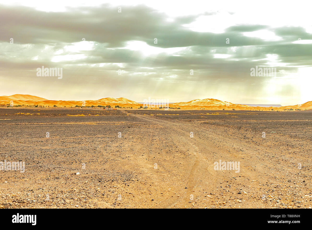 Beautiful sand dunes in the Sahara desert. Morocco Stock Photo - Alamy