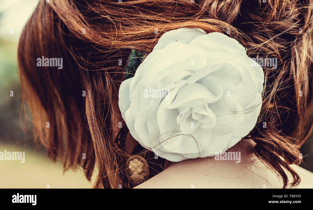 Rear view close-up of the great and white cotton flower decoration Stock Photo