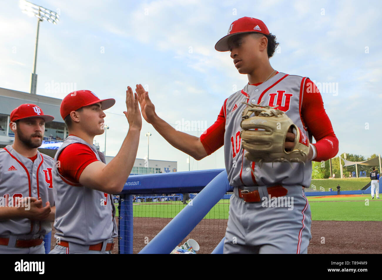 894 Matt Carpenter Baseball Player Stock Photos, High-Res Pictures