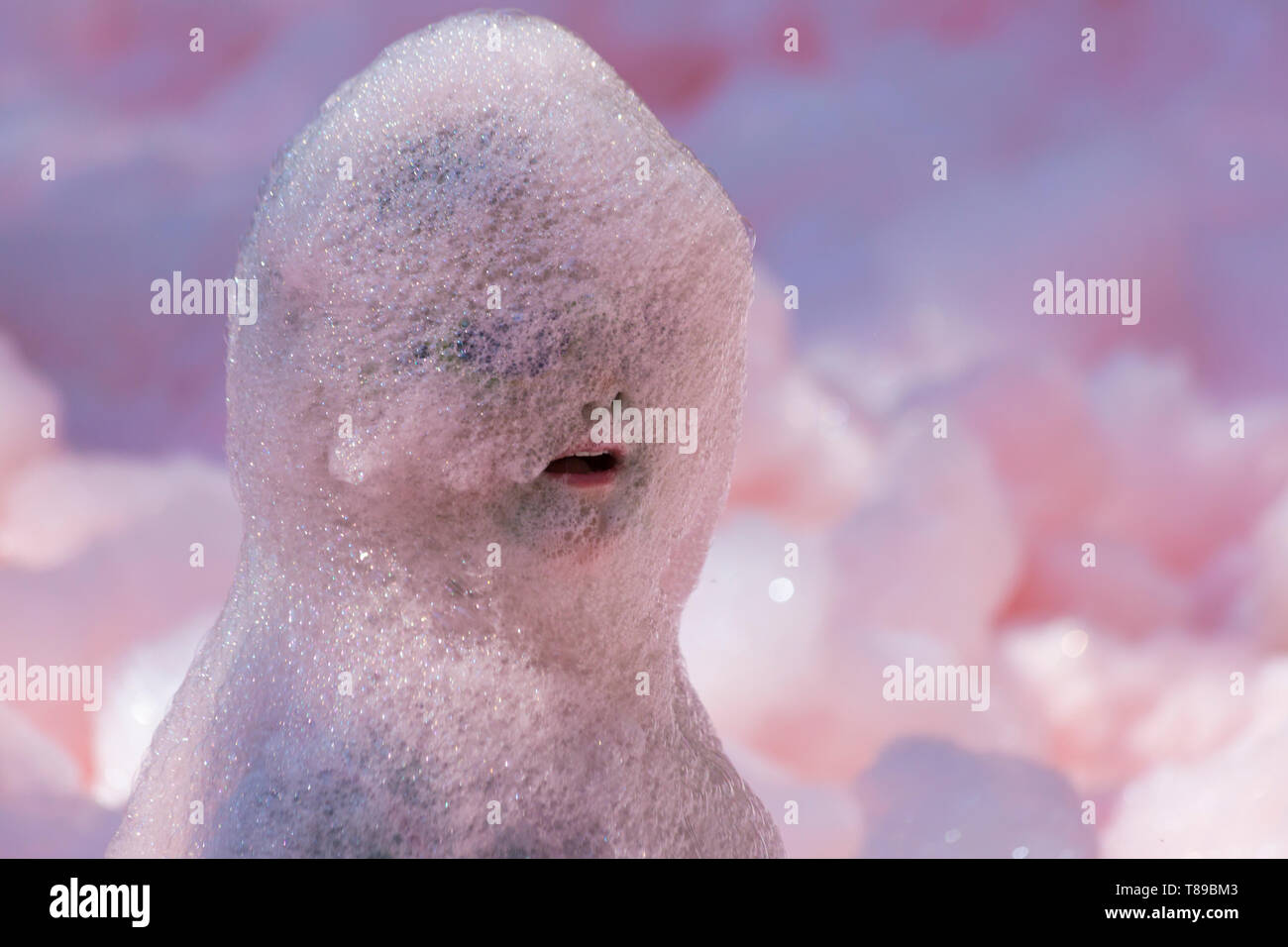 Monster Bubbles High Resolution Stock 