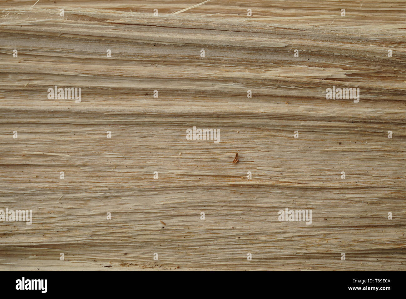 Wood breakthrough texture. Natural material texture or background. Stock Photo