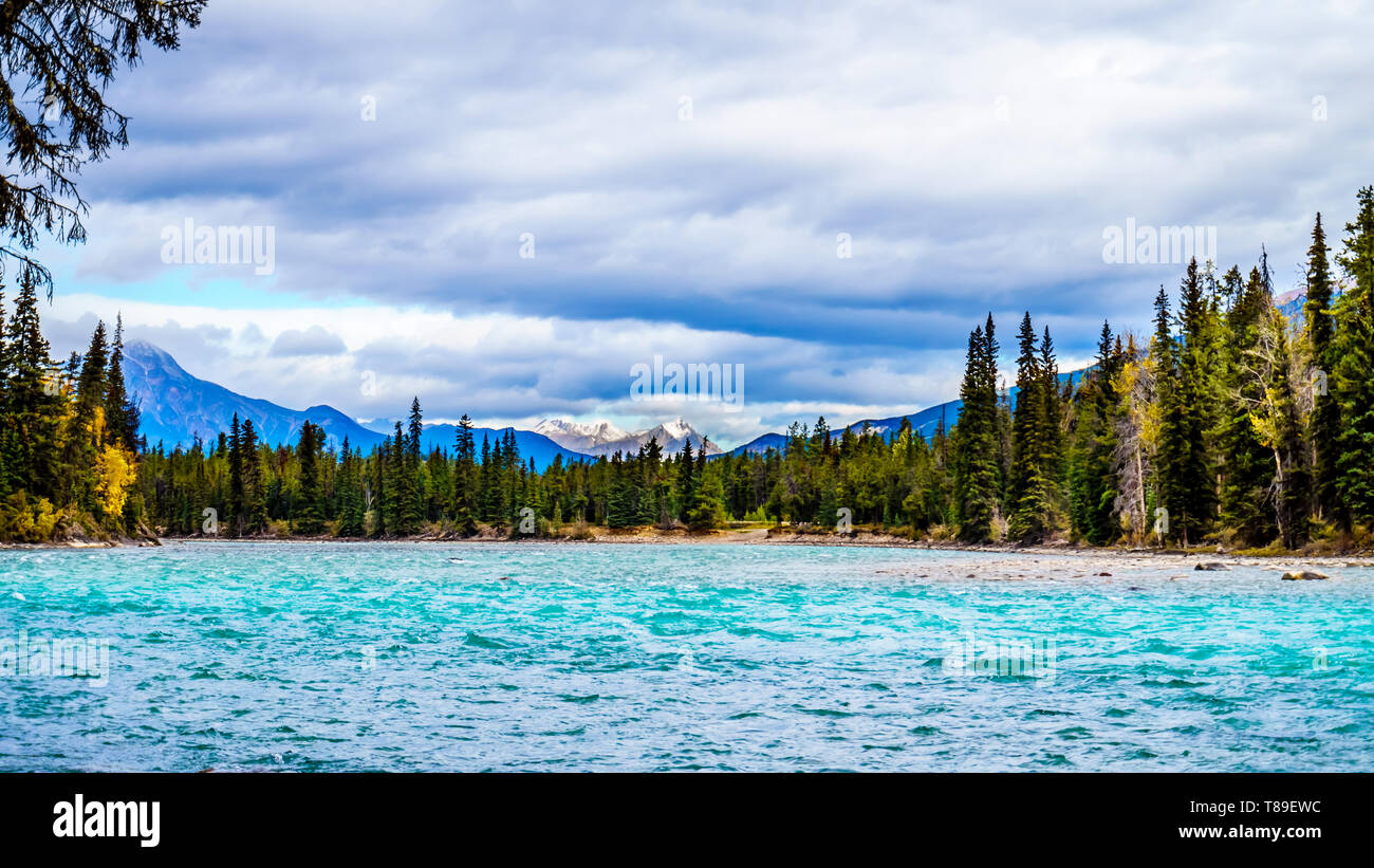 The Meeting of the Rivers, where the Athabasca River and the Whirlpool River meet in Jasper national Park in the Canadian Rocky Mountains in Alberta Stock Photo