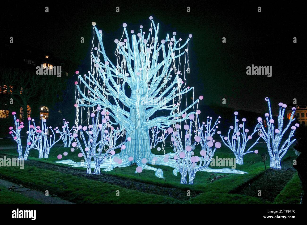 France, Paris, Jardin des Plantes, First Festival of Lights, Species in