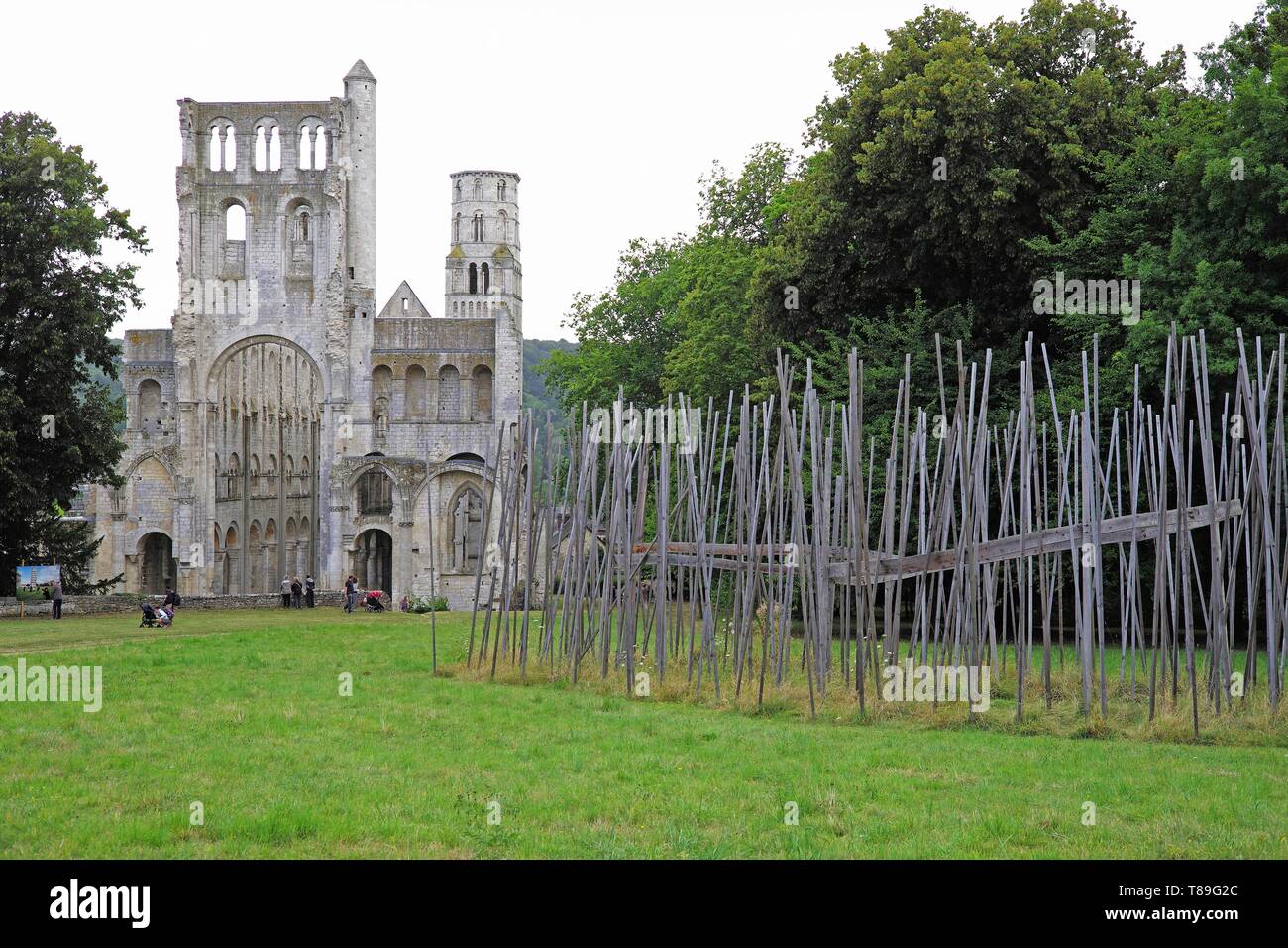 France, Seine Maritime, Jumieges, Abbey of Saint-Pierre de Jumieges, Notre-Dame Abbey, nave and transept novels Stock Photo