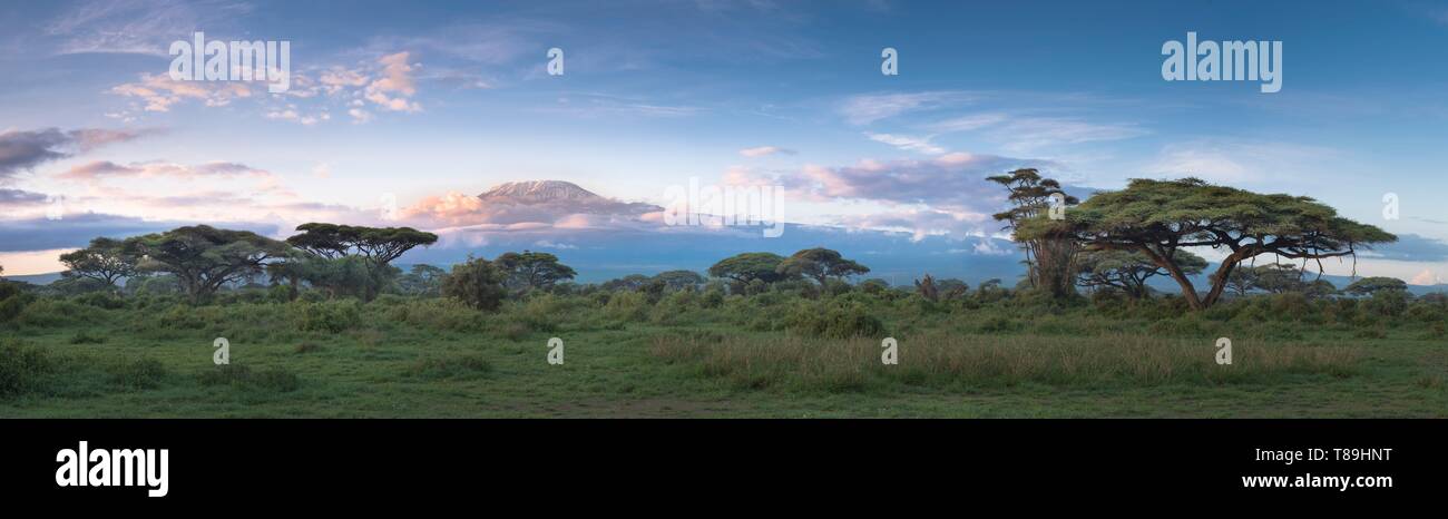 Kenya, Kajialo County, Amboseli National Park, sunrise on Kilimanjaro mount Stock Photo