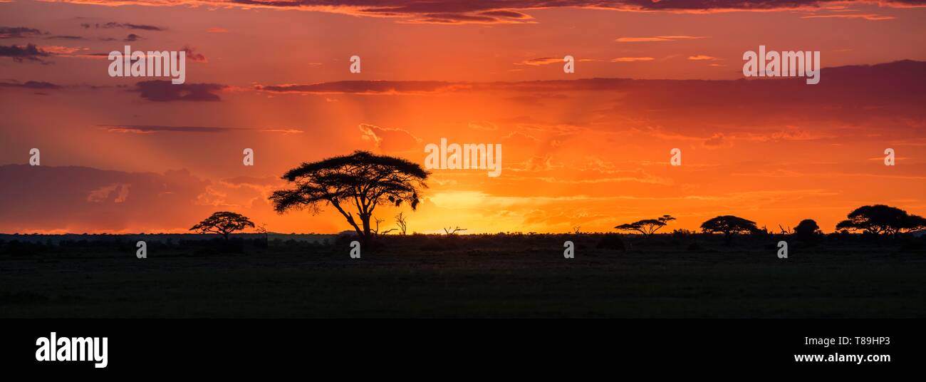 Kenya, Kajialo County, Amboseli National Park, sunset on savana Stock Photo