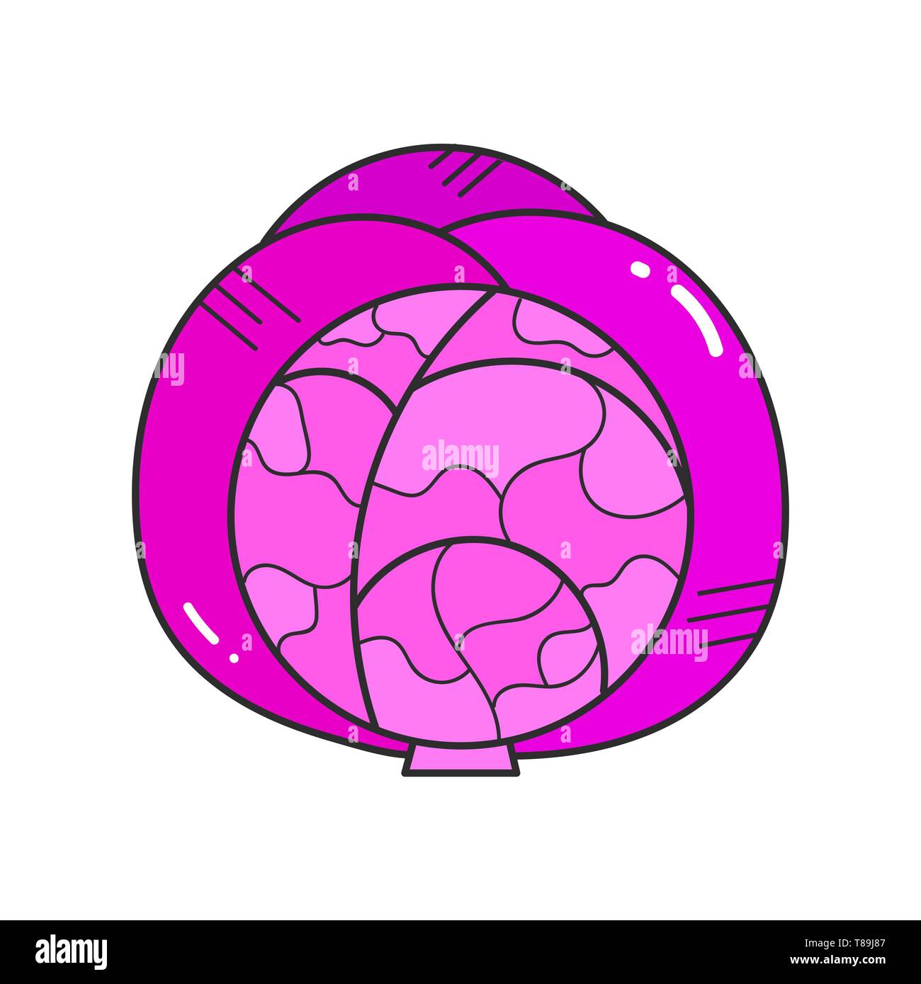 Purple Cabbage Is A Healthy Vegetable Flat Trend Vector Illustration On