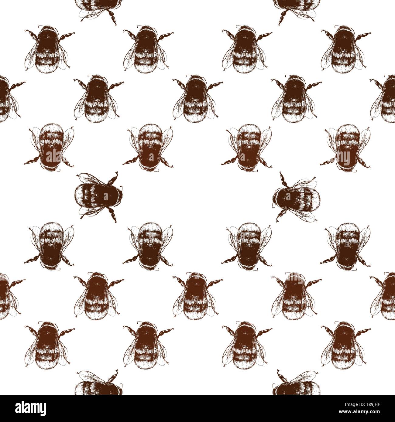 Seamless pattern of hand drawn sketch style bumblebee isolated on white ...