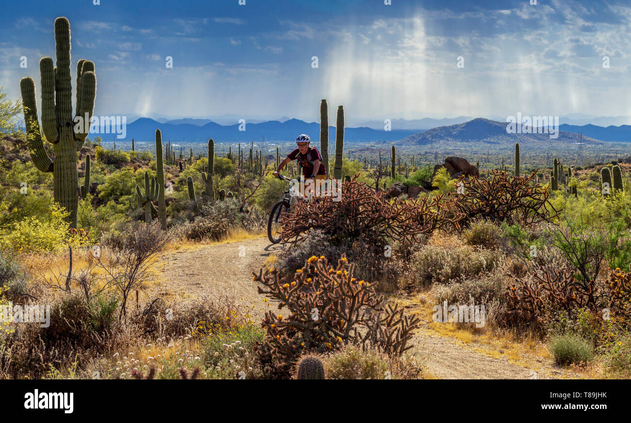 Panaromic view if Man Mountain Biking on High Desert Trail in Southwest  USA with sunbeams in background, Stock Photo