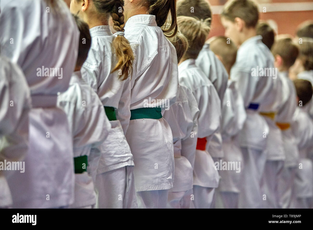 Concept karate, martial arts. Construction of students in the hall