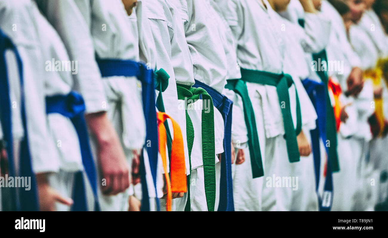 Concept karate, martial arts. Construction of students in the hall