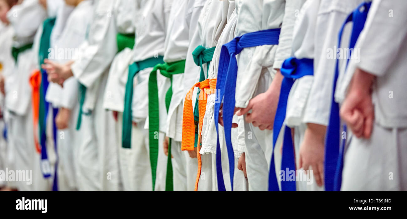 Concept karate, martial arts. Construction of students in the hall