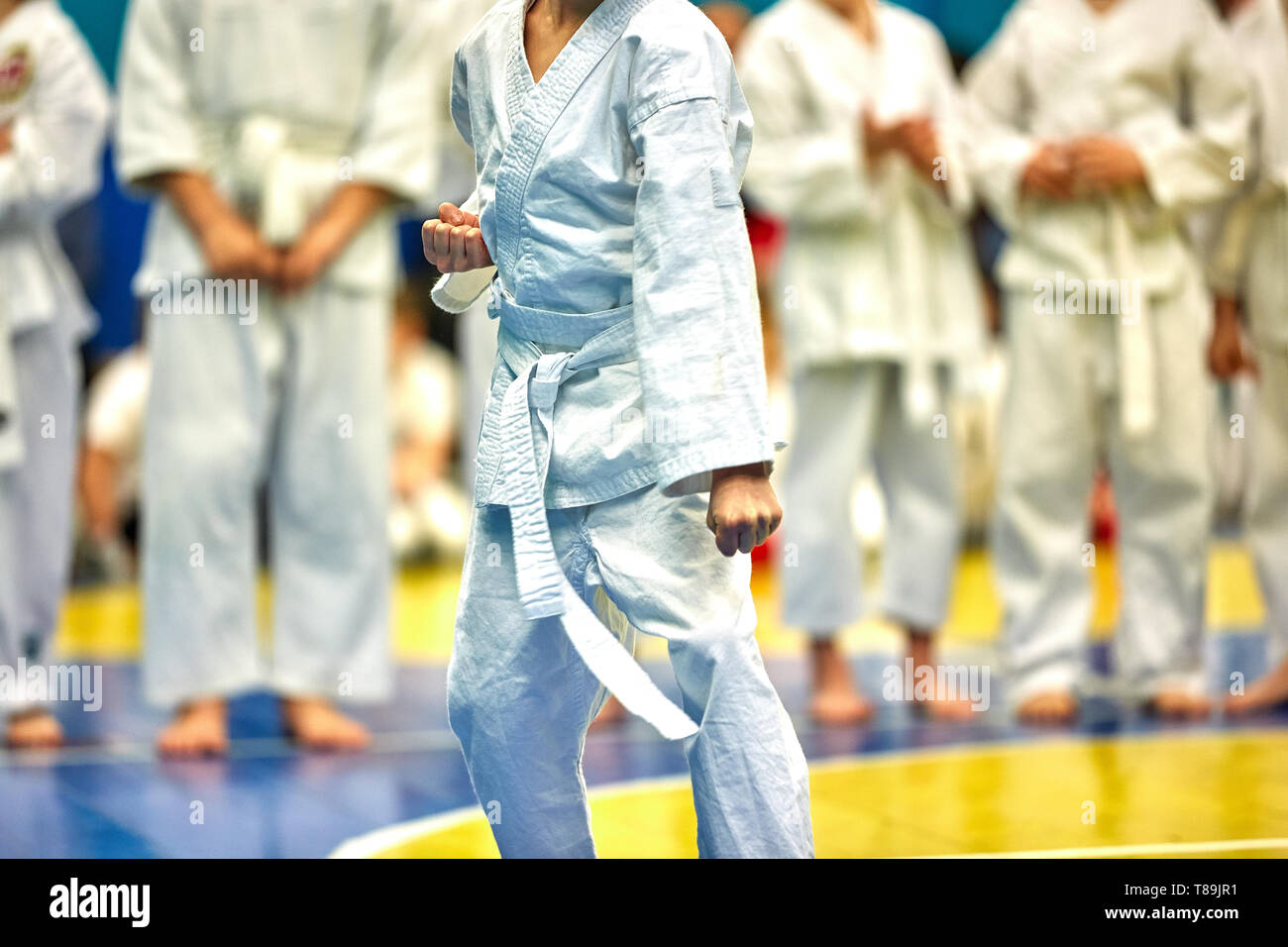 Concept karate, martial arts. Concept of leadership, victory, martial