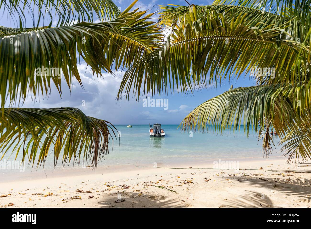 Saint Marie Island High Resolution Stock Photography and Images Alamy