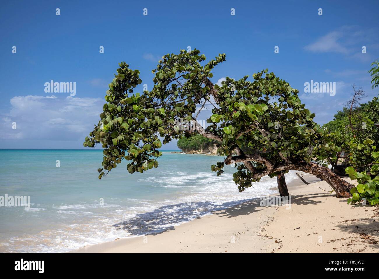 Saint marie island hires stock photography and images Alamy