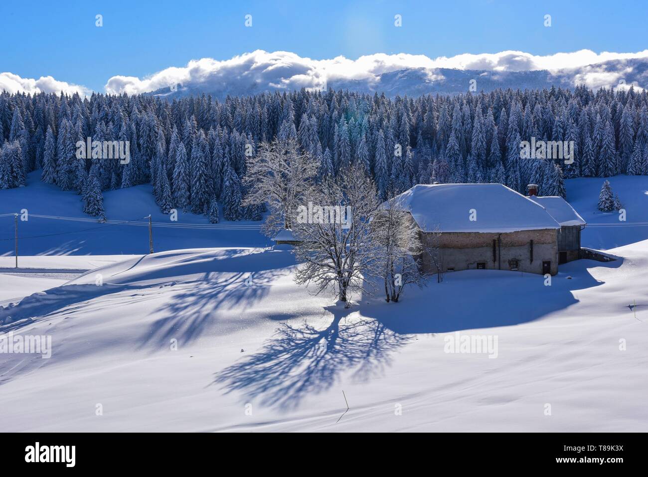 France, Jura, GTJ, great crossing of the Jura on snowshoes, snow laden landscape and traditional stone house on the Hautes Combes plateau Stock Photo