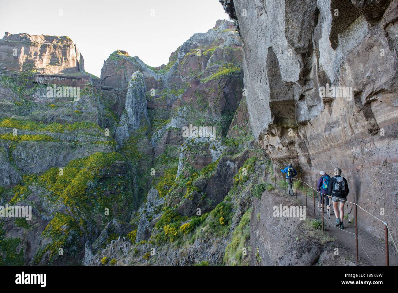 Portugal, Madeira Island, trekking on the peaks of Arieiro peak to